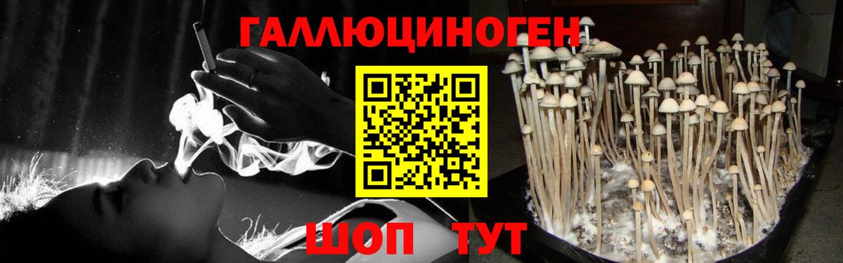 Псилоцибиновые грибы MAGIC MUSHROOMS  Вход с VPN  Красноярск 